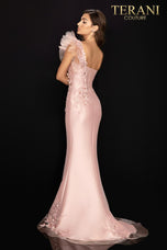 Terani Evenings Dress 2011E2094