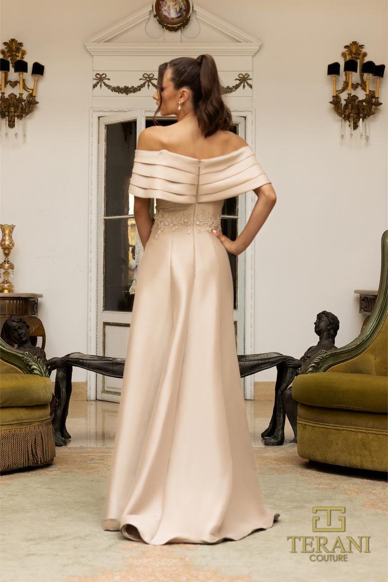 Terani Mother of the Bride Dress 232M1511