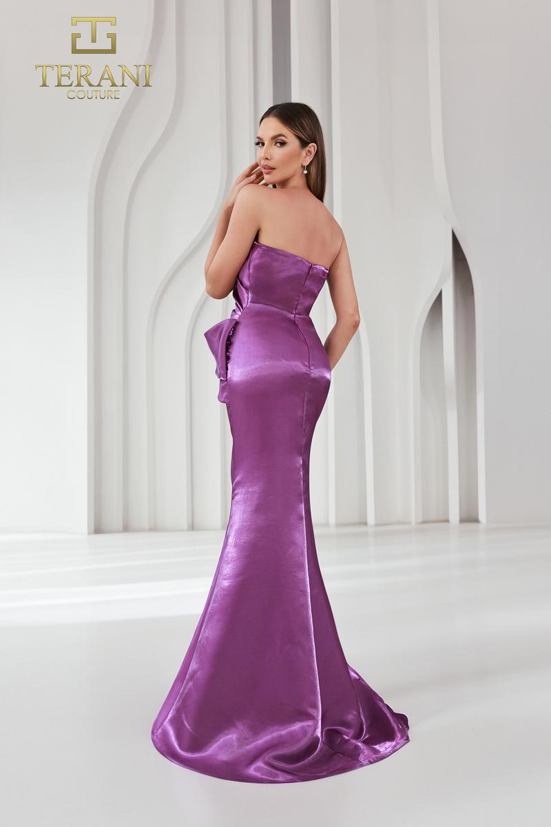 Terani Evenings Dress 251E4231