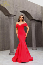 Terani Evenings Dress 251E4271