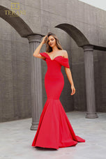 Terani Evenings Dress 251E4271