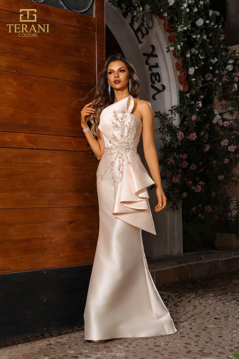 Terani Evenings Dress 251E4265