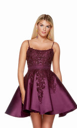 Alyce Paris A-Line Lace Homecoming Dress 3164