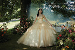 Valencia Quinceanera by Morilee Dress 60193