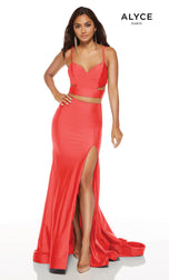 Alyce Prom Dress 60774