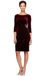 Alex Evenings Quarter Sleeve Velvet Cocktail Dress 1915268