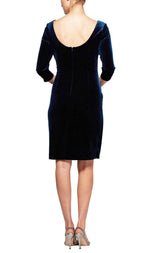 Alex Evenings Quarter Sleeve Velvet Cocktail Dress 1915268