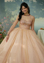 Valencia Quinceanera by Morilee Dress 60192