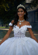 Vizcaya by Morilee 3D Floral Quince Dress 89456