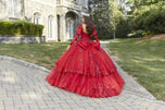 Valencia Quinceanera by Morilee Dress 60172