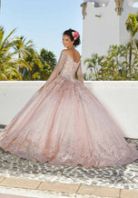 Vizcaya by Morilee Glitter Net Quince Dress 89355
