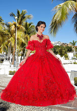 Vizcaya by Morilee 3D Floral Lace Quince Dress 89358