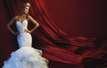 Allure Bridals Couture Dress C367